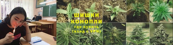 трава Богородицк