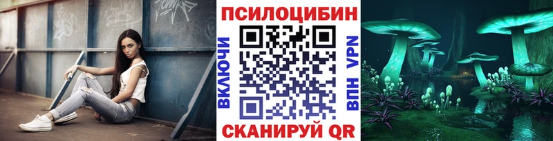 купить закладку  Дрезна  KRAKEN онион  Псилоцибиновые грибы Cubensis 